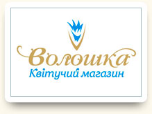 Дизайн логотипа Волошка